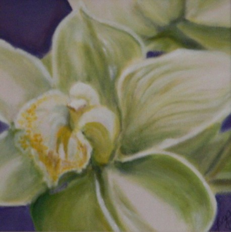 Orchidej detail  06