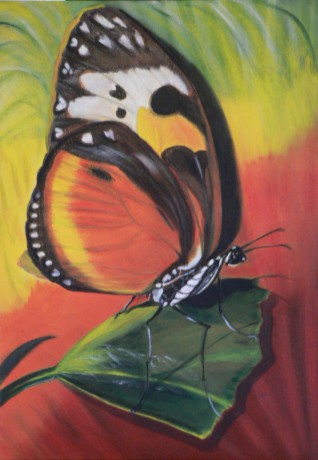 Motýl, detail  06